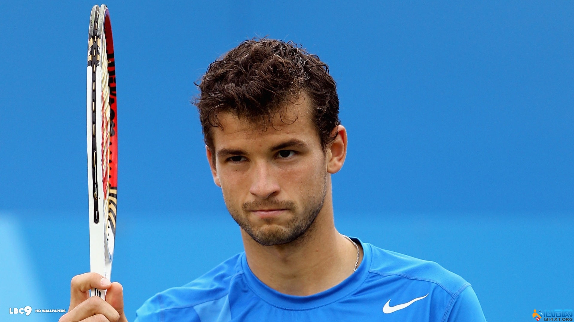 在水中游动 在水中游动