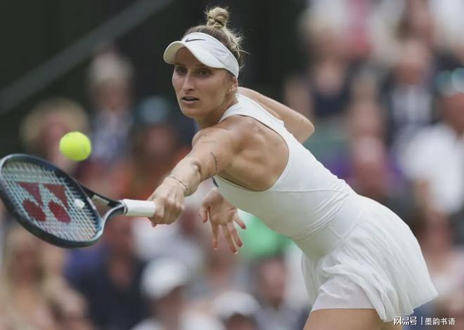 他的战术似 他的战术似