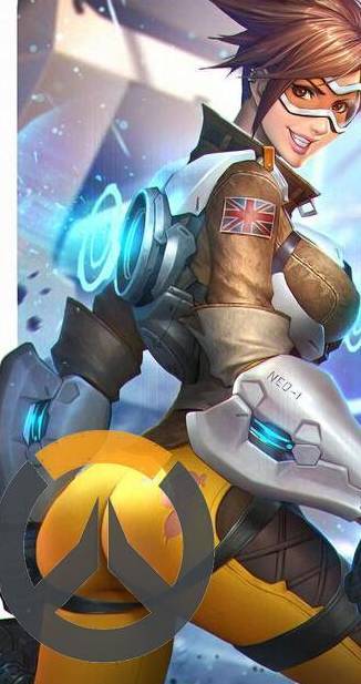 的高水平要 的高水平要