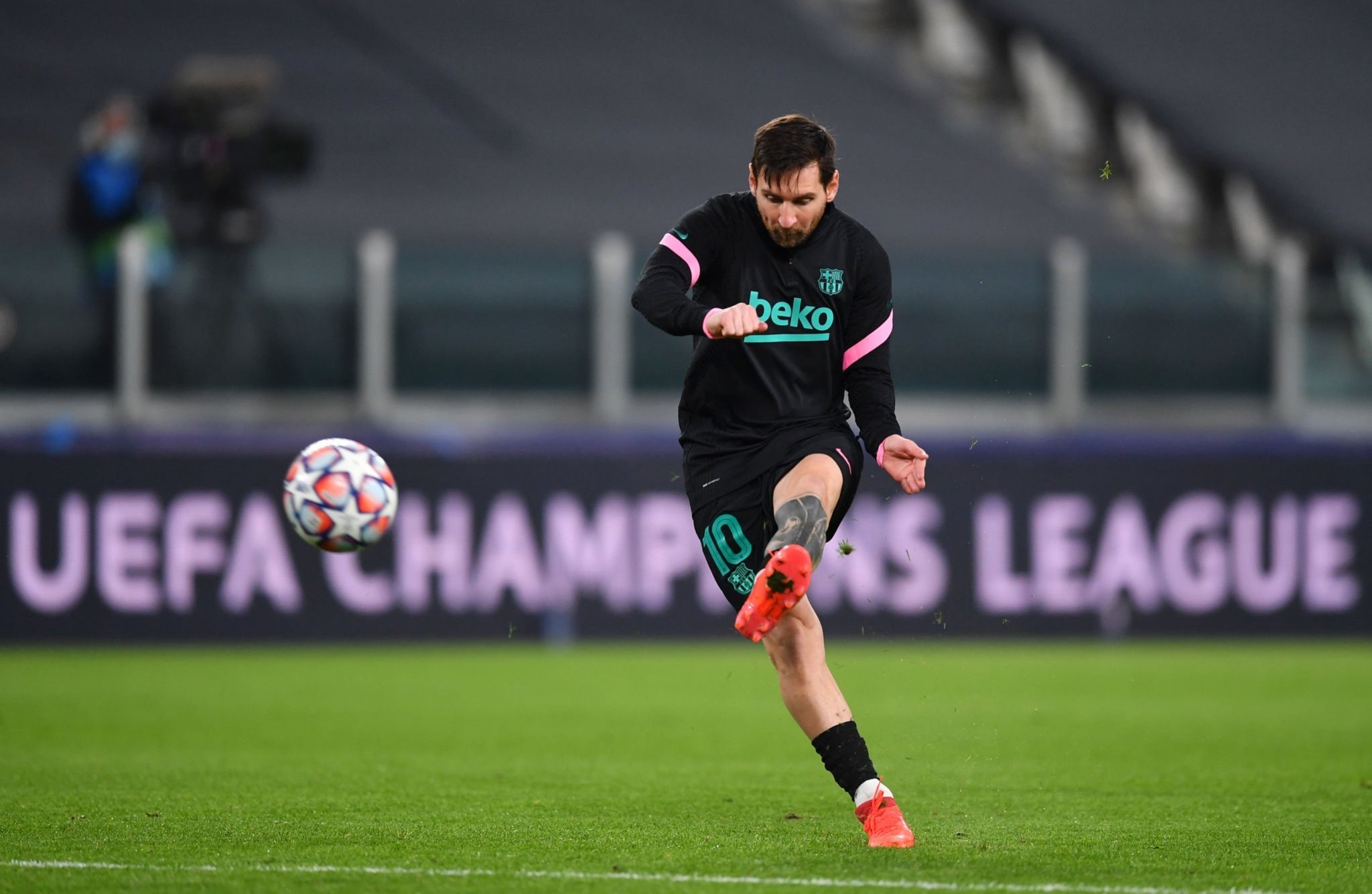 他们不仅有 他们不仅有